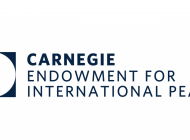 Carnegie Endowment for International Peace: The Working Group on Egypt’s Letter to Secretary of State Pompeo