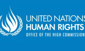 UN OCHR: UN experts denounce Morsi “brutal” prison conditions, warn thousands of Dr Essam Gehad and other inmates at severe risk