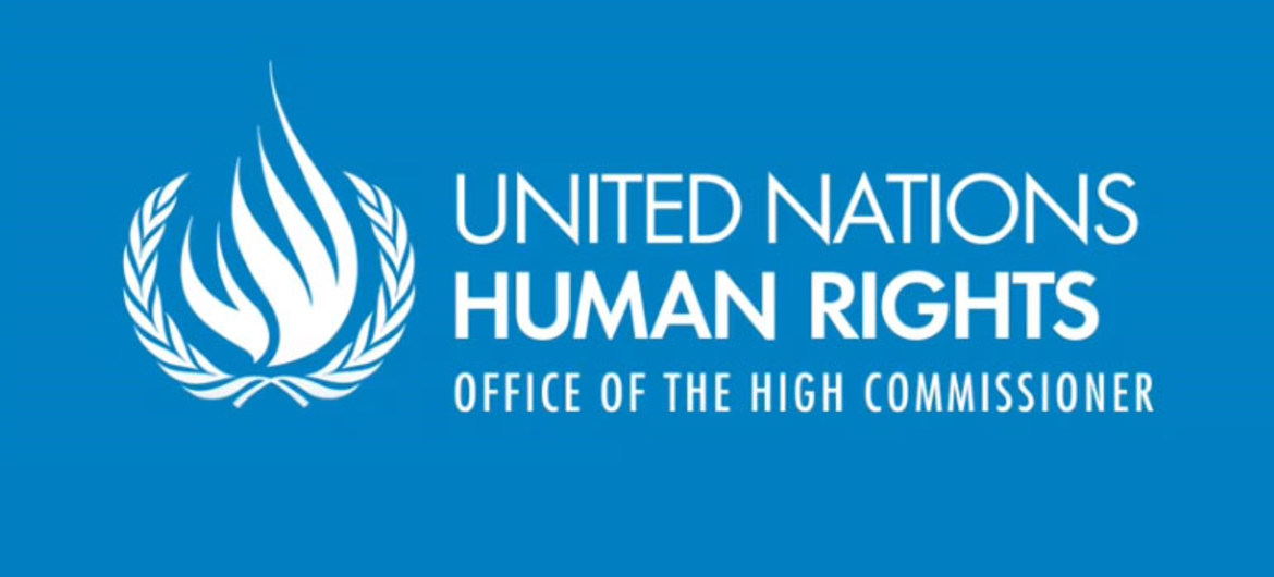 UN OCHR: UN experts denounce Morsi “brutal” prison conditions, warn thousands of Dr Essam Gehad and other inmates at severe risk